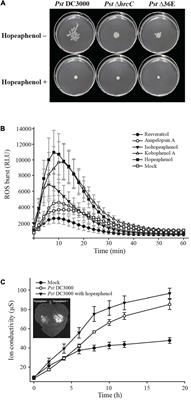 Resveratrol Oligomers, Plant-Produced Natural Products With Anti-virulence and Plant Immune-Priming Roles